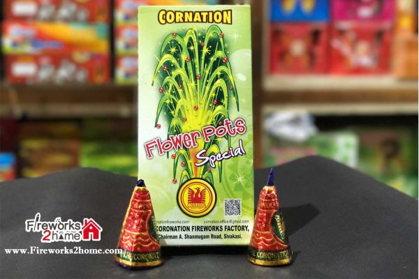 Flower Pots Special cornation