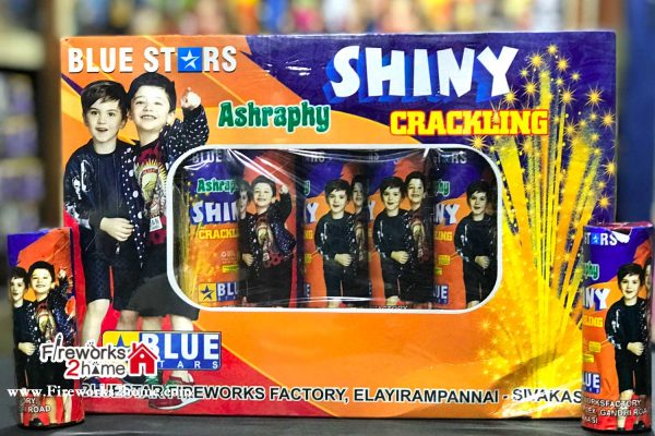 shiny-crackling-flower-pot