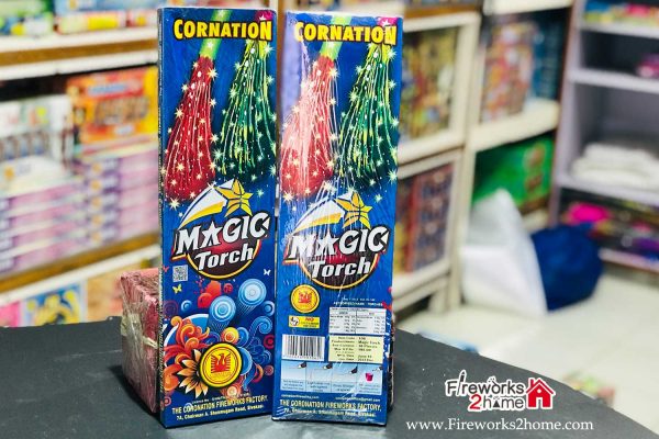 magic-torch-kids-special-cornation