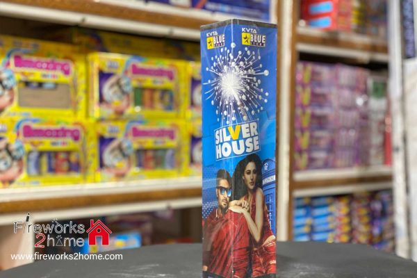 silver-house-blue-star