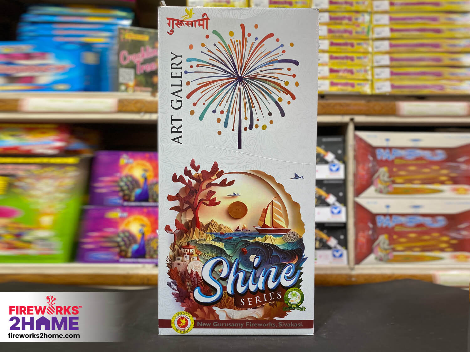 gurusamy-art-galery-sky-shot