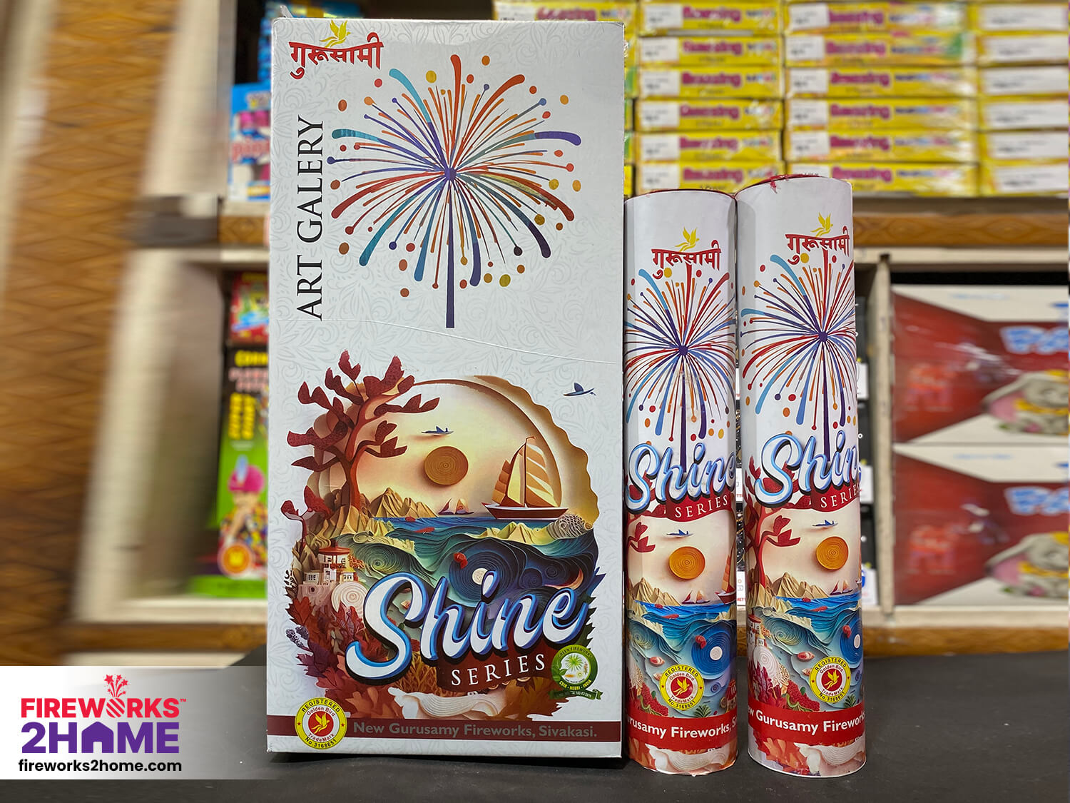 gurusamy-art-galery-sky-shot1